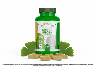 Ginkgo Biloba MEGAPLUS